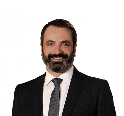 Steven N. Levine